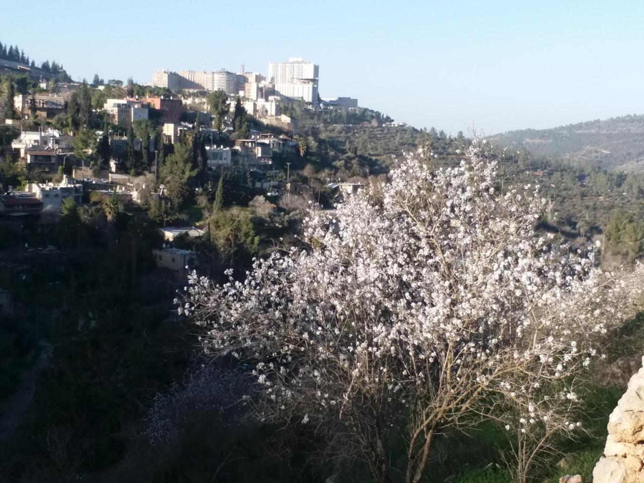 Appartamento Avrahami View *