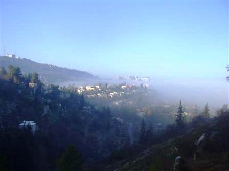 Avrahami View