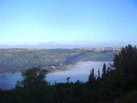 Avrahami View *
