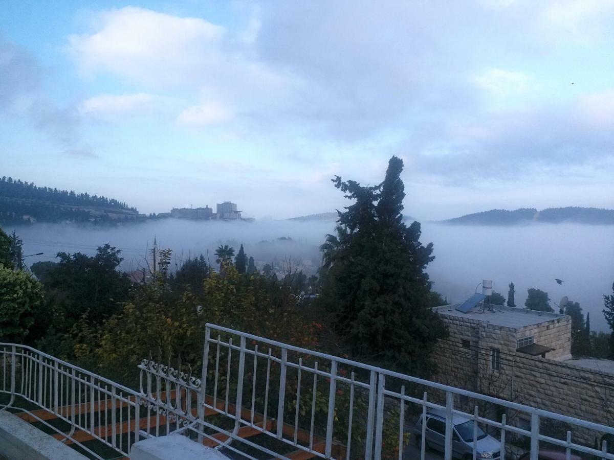 Apartment Avrahami View