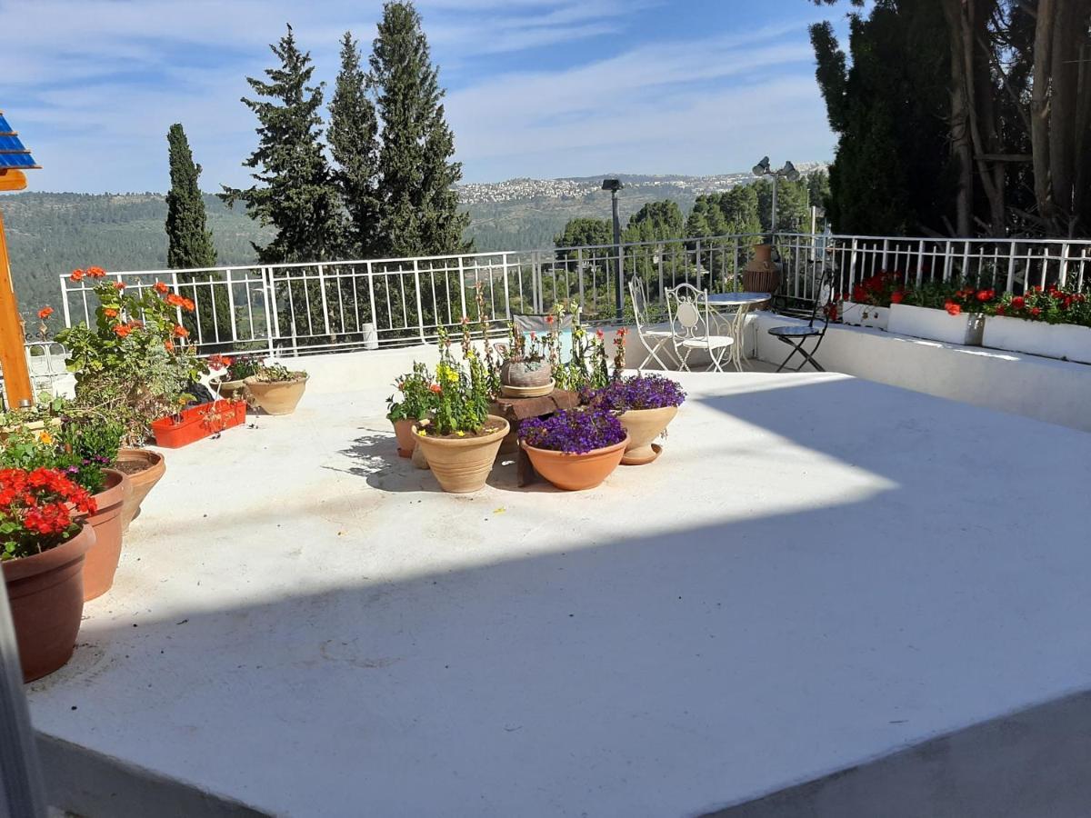 Apartment Avrahami View